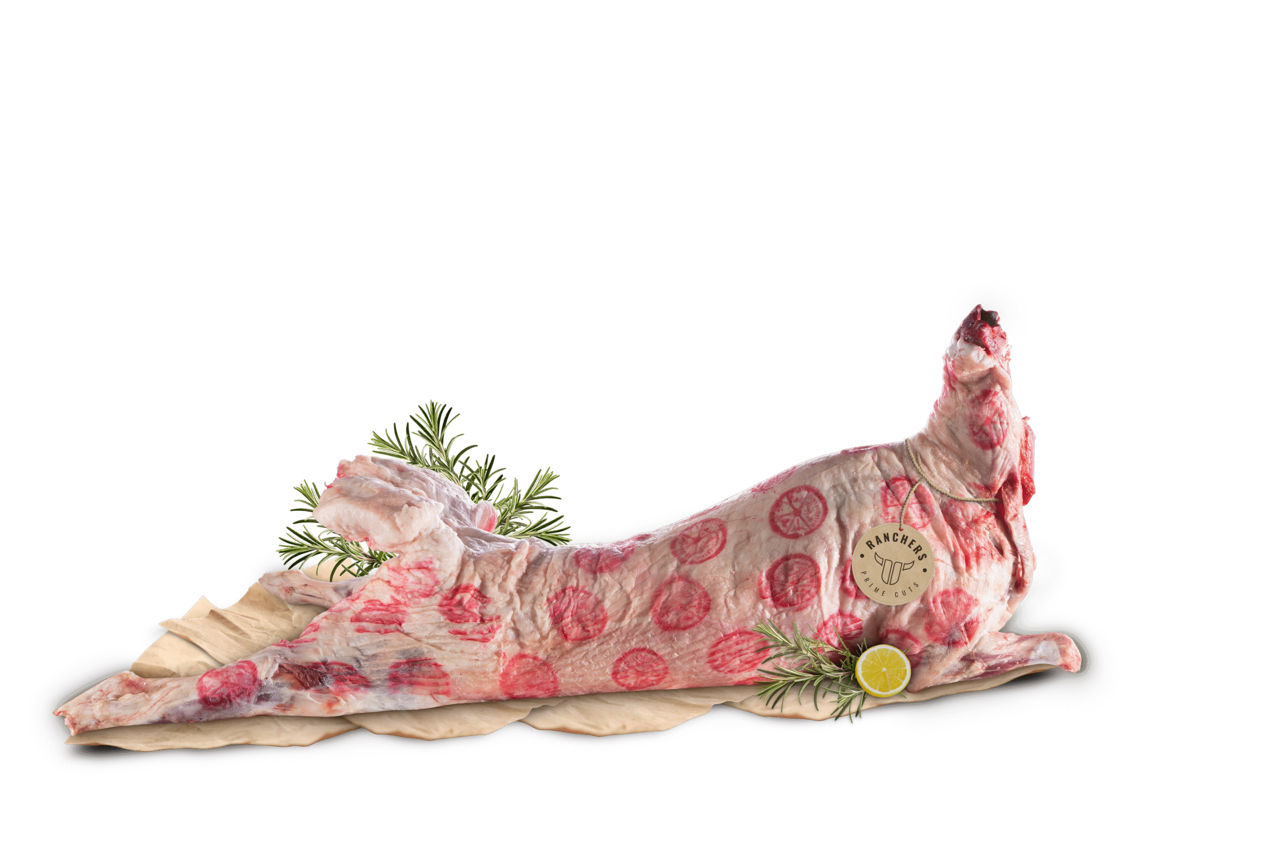 خروف ضانى - Copy